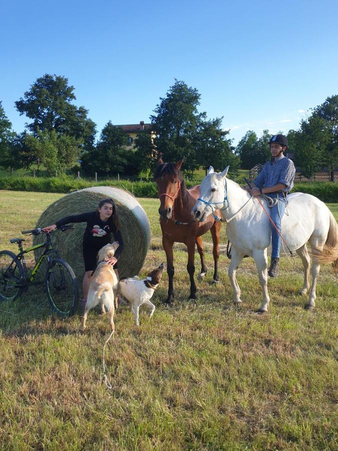 Tagliolo Monferrato La Diligenza B&B 외부 사진